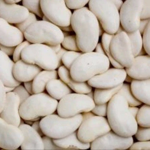 White kidney beans specification of white butter beans for sale
