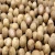 Import white pepper /WHITE PEPPER PRICE 630 G/L DOUBLE WASHED from Germany