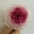 Import Wholesale 5-6cm Preserved David Austin Rose Flowers for Wedding Decoration from China