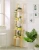 Import Wholesale Cheap Price ladder bookcase from China