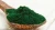 Import Wholesale Customized Good Quality Spirulina Seaweed Plant Extract from China