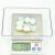 Import wholesale Healing Crystal Crafts Healing  25-35mm Opalite Tumbled Stone Spiritual Decoration from China