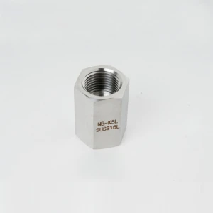 Wholesale High Quality Female Npt Stainless Steel Pipe Fitting Hex Coupling 1/4 in