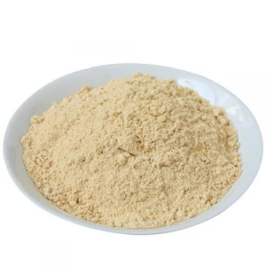 Wholesale high quality Zingiber Extract Ginger powder Gingerol