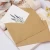 Import wholesale paper tinted gift mailing envelope for celebration from China