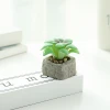 wholesale plastic home furnishings simulation artificial green plants