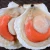Import Wholesale Prices Frozen Sea  shell scallops from China