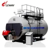WNS Fire tube Industrial WNS6-1.25-Y(Q) 6 Ton Industrial Gas Fired Steam Boiler Price For Washing Ironing Industry