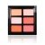 Import Your own logo blush palette 6 colors charming look with window makeup palette from China
