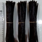 Indonesia Premium Vanilla Beans