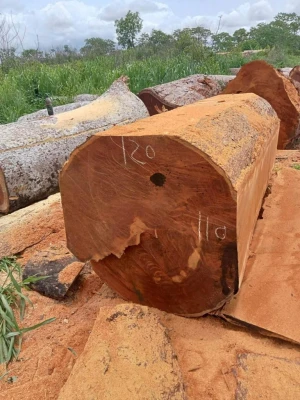 Iroko wood,Square log, clean sawn 2by2, 3by3. Origin- Nigeria