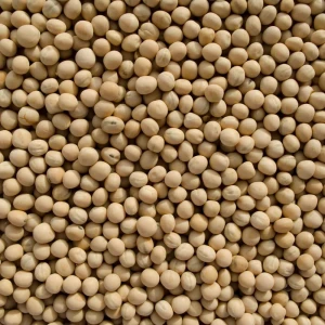 High Quality Dried Yellow Peas Shttps://www.tradewheel.com/member/images/placeholder.pngplit Yellow Peas ready