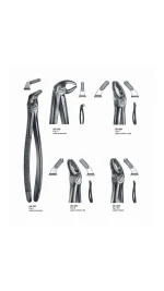 Dental Extraction Forceps – Lower Premolars & Upper Molars