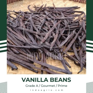 Vanilla Beans - Vanilla Tahitensis Indonesian Best Vanilla Pods