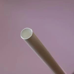 Single layer environmentally friendly paper straws