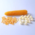 Dried White Corn / White Meize for Sale
