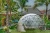 Import Garden Greenhouse Outdoor Bubble Advertising Inflatable Clear Dome House Air Tent Glamping Tent from China