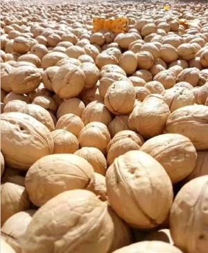 Chinese walnuts