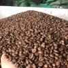 European arabica coffee beans Raw coffee bean