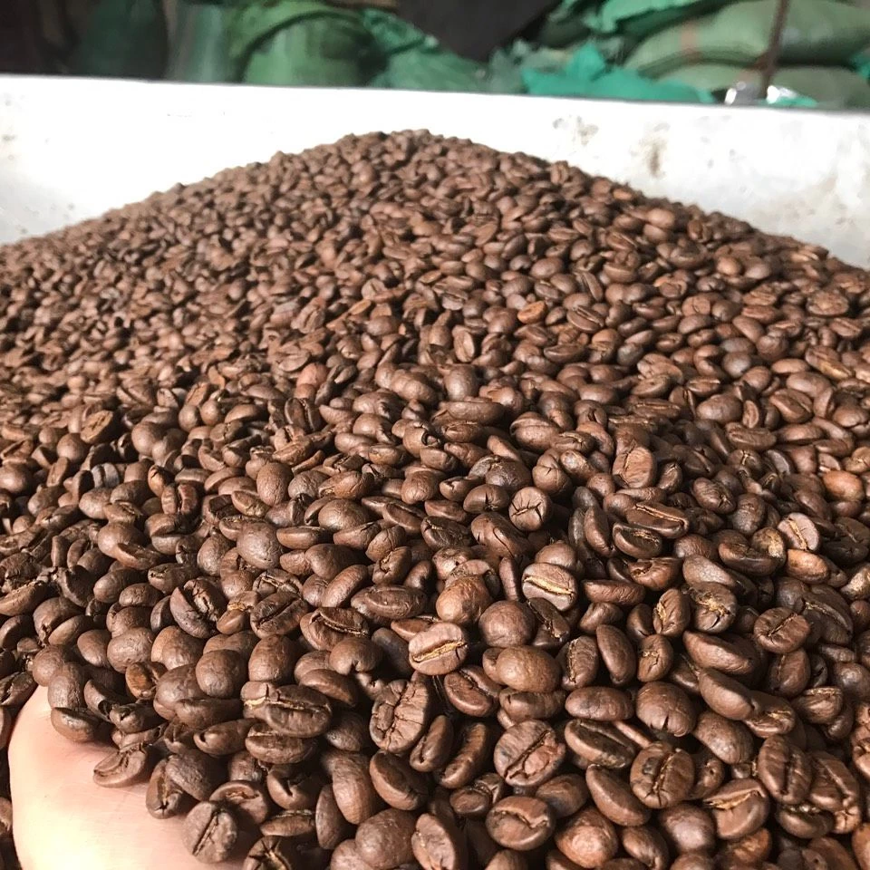 Buy European Arabica Coffee Beans Raw Coffee Bean from Concordia