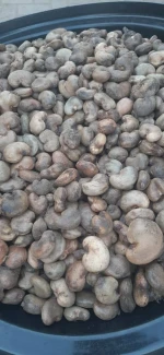 Cashew - RCN