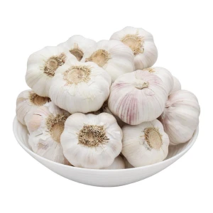 Naturally Grown Fresh Garlic Featuring Firm Cloves Rich Flavor And 98% Clean Surface Quality