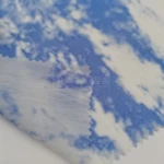 Crinkled PD Heat Sensitive Print fashion ripstop nylon taffeta waterproof sliver coating fabric