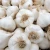 Import Naturally Grown Fresh Garlic Featuring Firm Cloves Rich Flavor And 98% Clean Surface Quality from South Africa