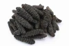 Sun Dried sea cucumber