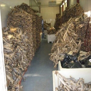 Cod and Dried Stock Fish Sizes For Sale