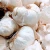 Import Naturally Grown Fresh Garlic Featuring Firm Cloves Rich Flavor And 98% Clean Surface Quality from South Africa
