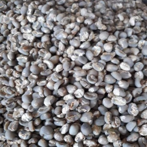 Java Arabica Coffee Bean