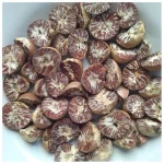 Betel Nut in Hot Sale With High Quality Newly Crop in 2026 Ready For Export