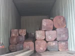 Bolivian Hardwoods