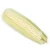 Import Top Selling Non GMO White Corn & White Corn Air Dried White Maize Corn for Sale from South Africa