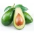 Import High Quality Fresh Fruit Avocados Available For Sale At Low Price from USA