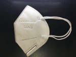 KN 95 Masks
