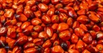 Red Palm Oil