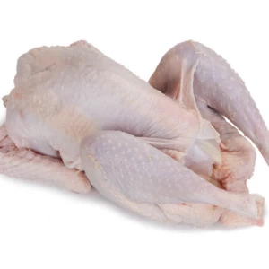 Premium Grade Halal Whole Frozen Chicken Wholesale Frozen Halal Chicken Products at Factory Prices