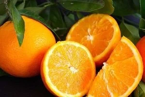 Buy Orange Fruit of exporters directly