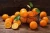 Import Buy Orange Fruit of exporters directly from Iran