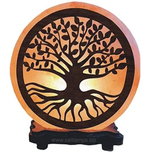 RMY 3D Salt Lamps