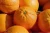 Import Buy Orange Fruit of exporters directly from Iran