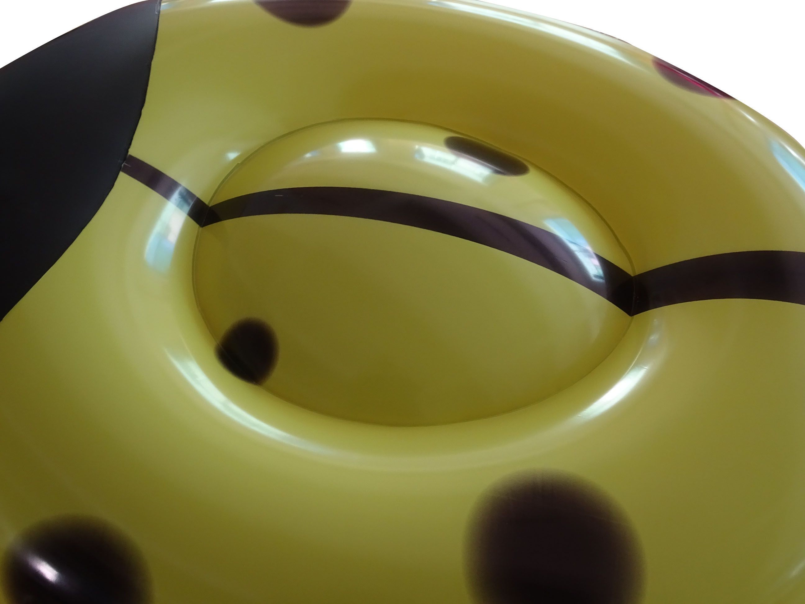 ladybug pool float