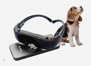 Veterinary skyescope VR-endoscope optics system