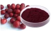Cranberry Extract 25% Proanthocyanidins UV