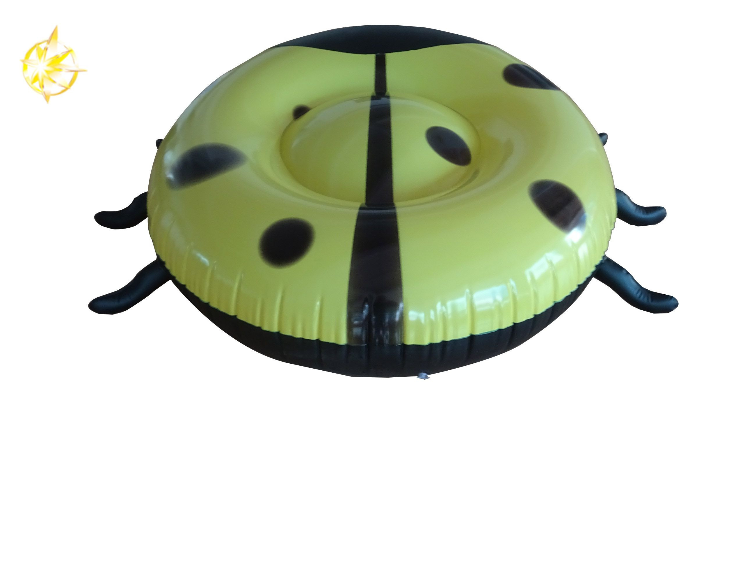ladybug pool float