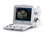 UMS 600  Equine Ultrasound