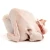 Import Premium Grade Halal Whole Frozen Chicken Wholesale Frozen Halal Chicken Products at Factory Prices from USA