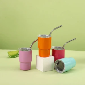 2oz Stainless Steel Travel Tumbler with  Straw Lid  Mug for Home Office or Car